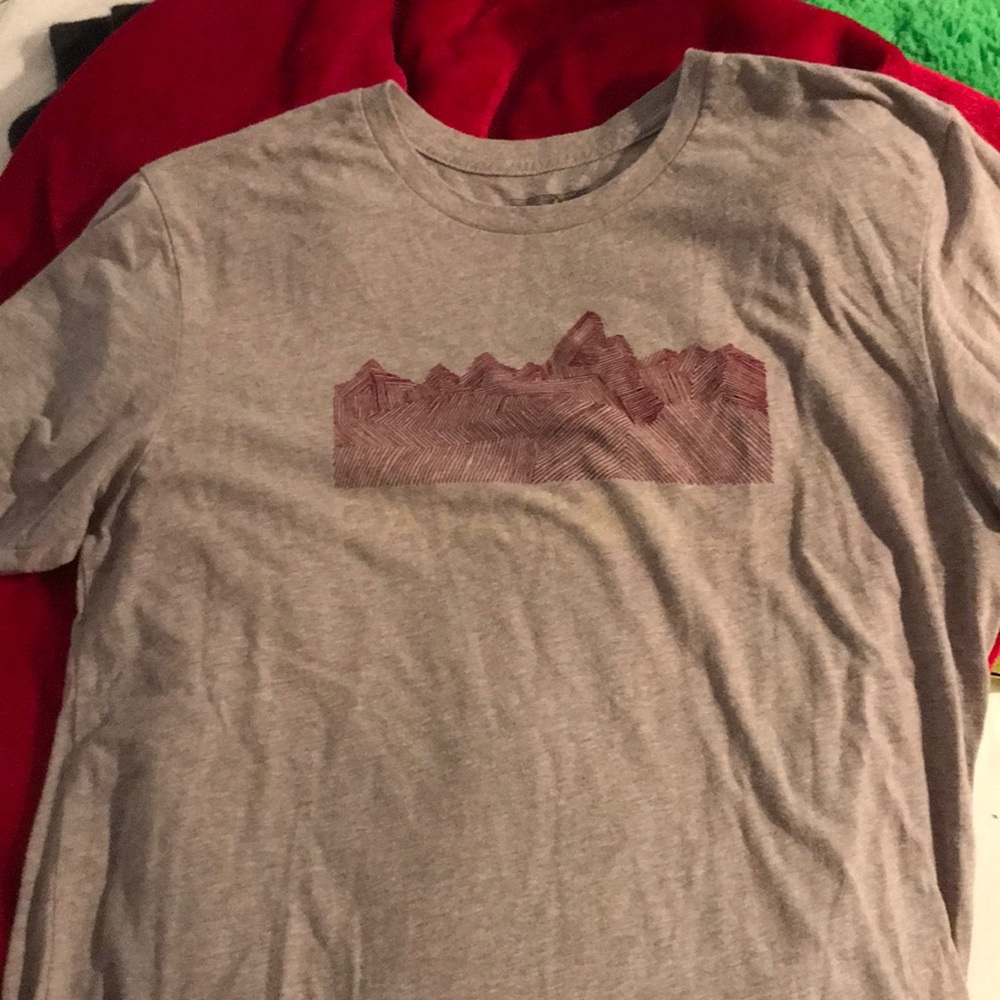 Patagonia T-shirt